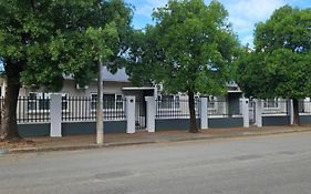Aloes 1St On Camp